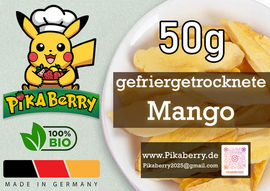 Gefriergetrocknete Mangostücke 50g